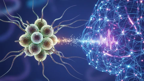 Científicos descubren comunicación directa entre bacterias intestinales y neuronas